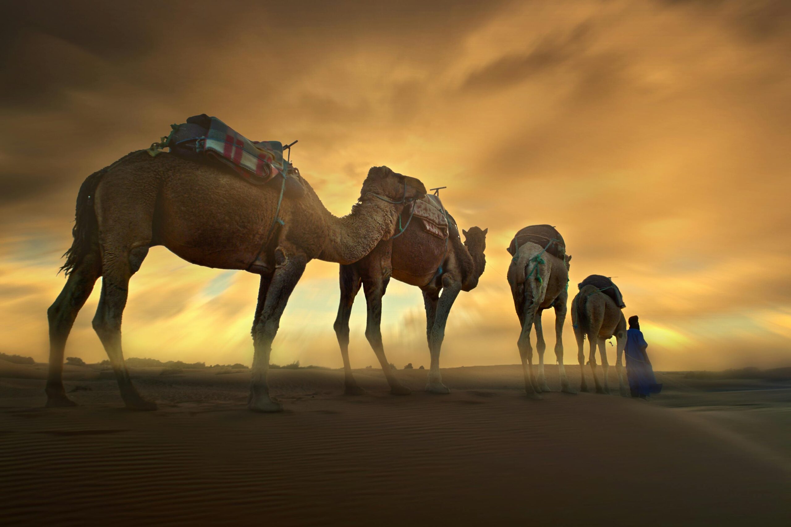 5 Days Desert From Fez to Marrakech